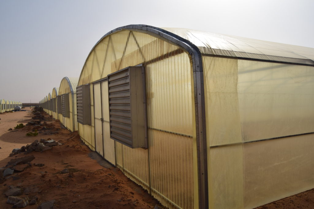 Chilled Plastic House