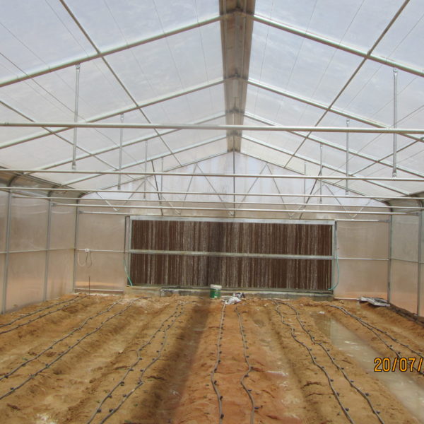 بيت قائم الجوانب بسقف هرمي مغطى البولي كربونيت