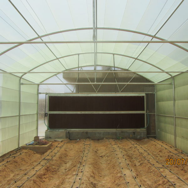 بيت قائم الاجناب مبرد بغطاء البلاستيك بعرض 6م