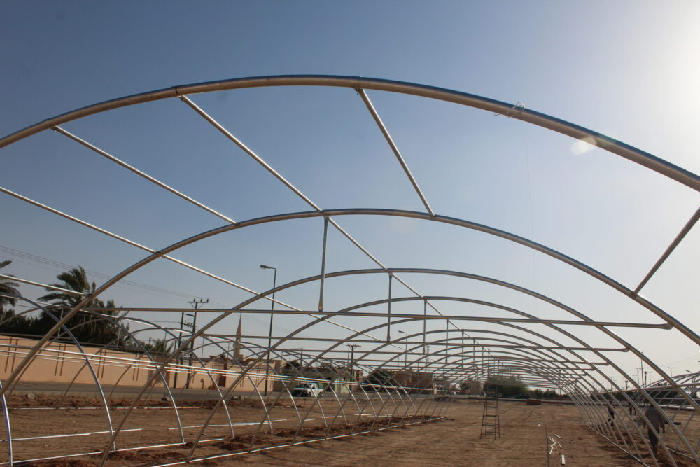 زاوية القوس