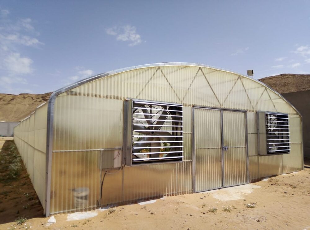 الغطاء البلاستيكي