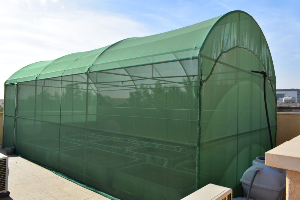 DSC_0018 DSC 0018 scaled مصنع بيوت الكنانة بيوت محميه سعودية