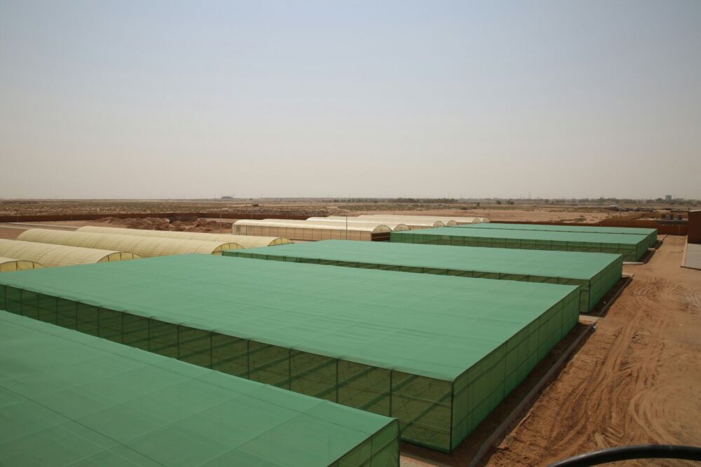 2015 08 26 PHOTO 00003153 مصنع بيوت الكنانة للبيوت المحمية