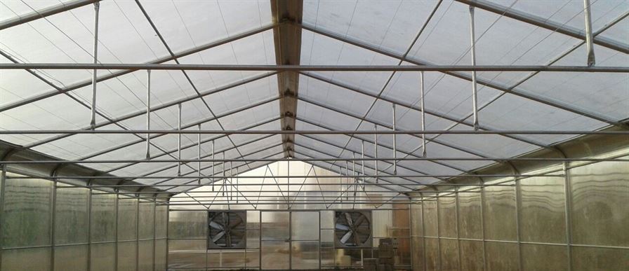 حامل المحصول 2 حامل المحصول 2 مصنع بيوت الكنانة للبيوت المحمية