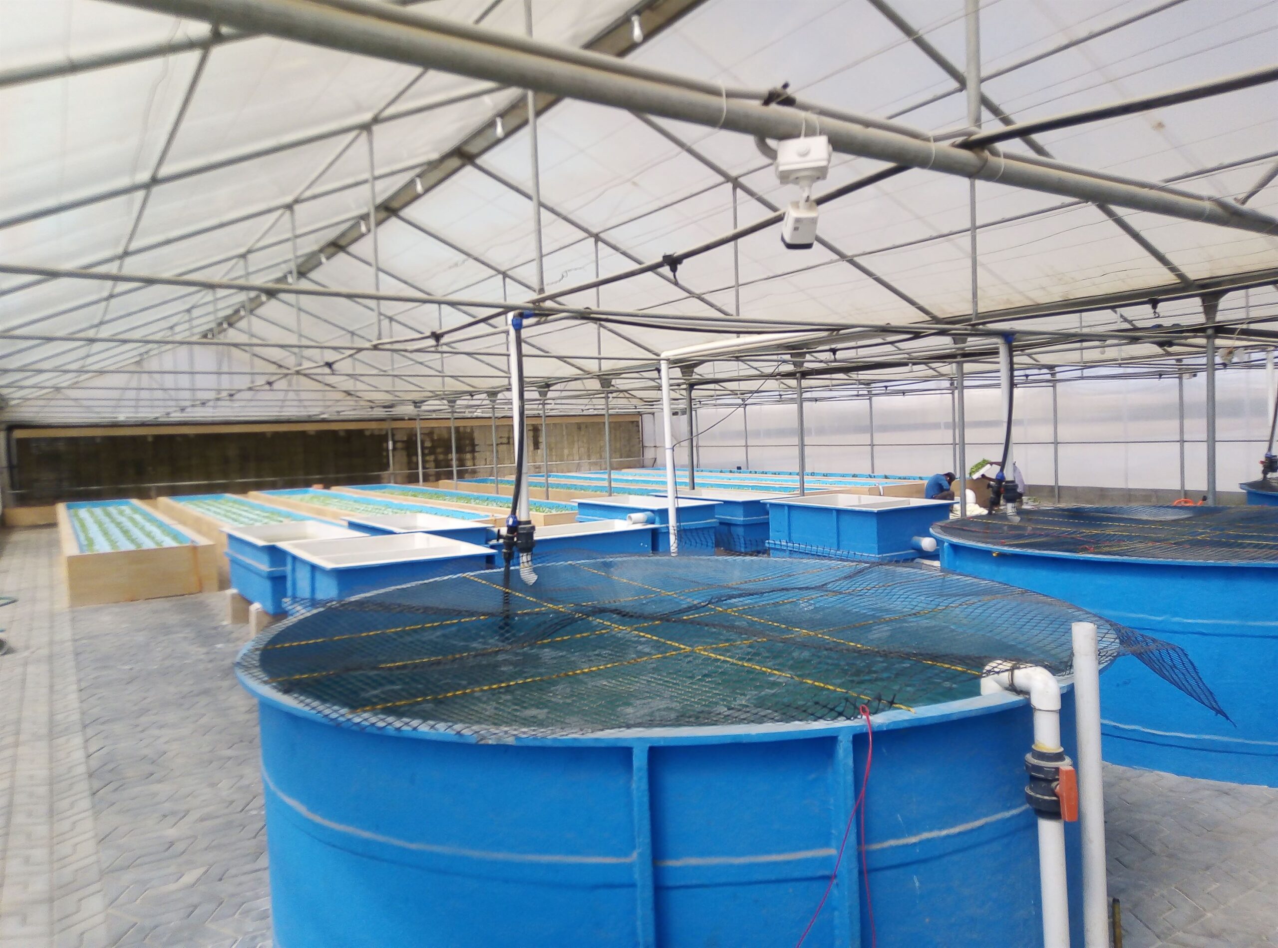 صالة بنظام الاكوابونيك صالة بنظام الاكوابونيك 1 scaled مصنع بيوت الكنانة للبيوت المحمية