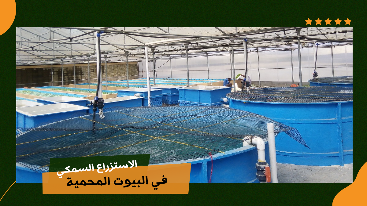 Fish farming in greenhouses 1 الاستزراع السمكي في البيوت المحمية