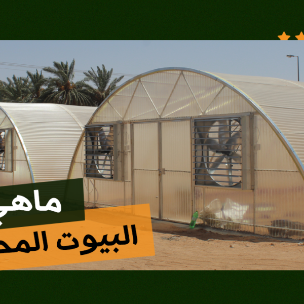 What are greenhouses? 3 ما هي البيوت المحمية