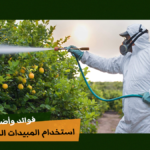 استخدام المبيدات الزراعية داخل البيت المحمي.. فوائد وأضرار
