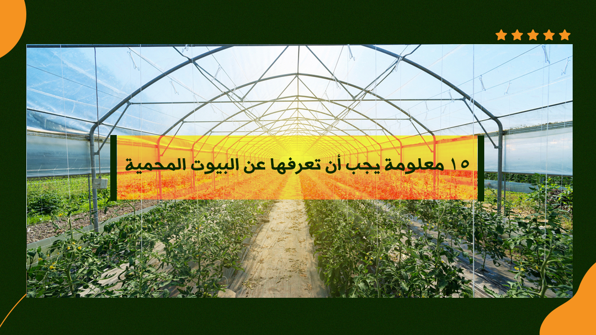 15 معلومة يجب أن تعرفها عن البيوت المحمية 1 15 معلومة يجب أن تعرفها عن البيوت المحمية