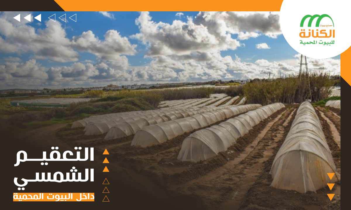 استخدام التعقيم الشمسي في البيوت المحمية 1 استخدام التعقيم الشمسي في البيوت المحمية