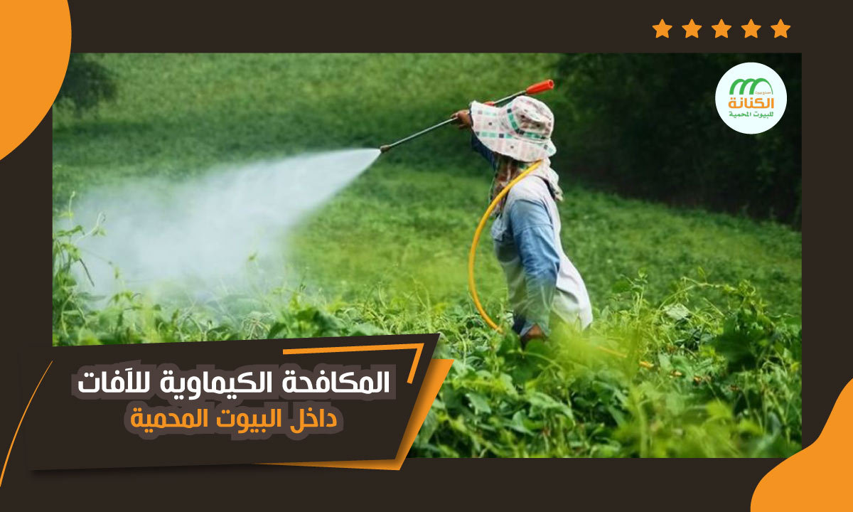 Chemical control of pests and insects inside greenhouses » مصنع بيوت ...