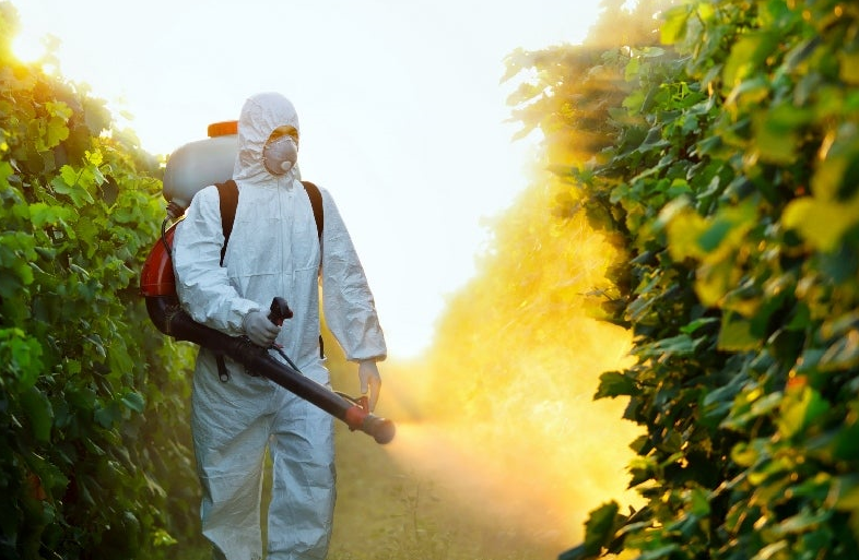 Pyrethrins powder supplier Pyrethrins powder supplier